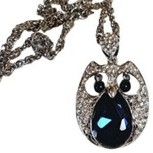Silver Rhinestone/Huge Blue Glass Stone/Owl Necklace